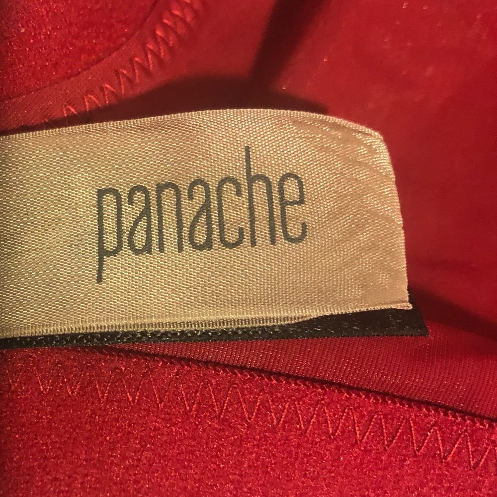 Panache Bra - Picture 2 of 3
